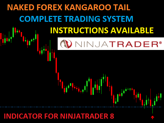Kangaroo Tail indicator for NinjaTrader, Metatrader and TradingView, Naked Forex from Walters Peters